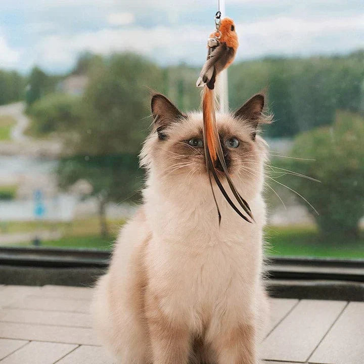 Natural Playtime - Interactive Bird for Cats