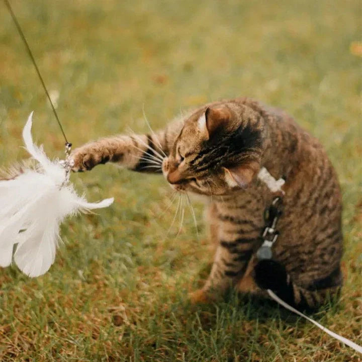Natural Playtime - Interactive Bird for Cats