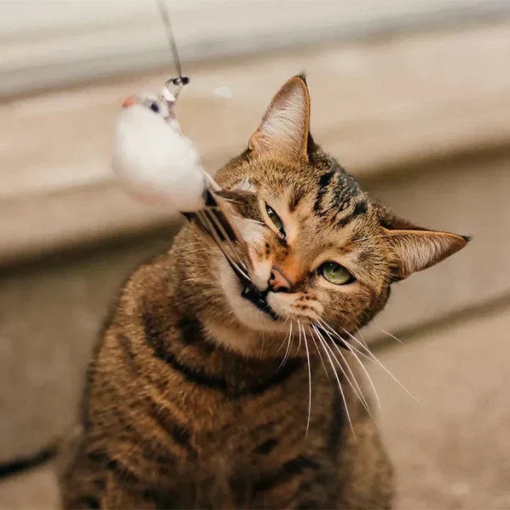 Natural Playtime - Interactive Bird for Cats