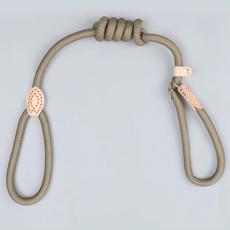 Guillaume Laisse – Sturdy Dog Leash for Walking