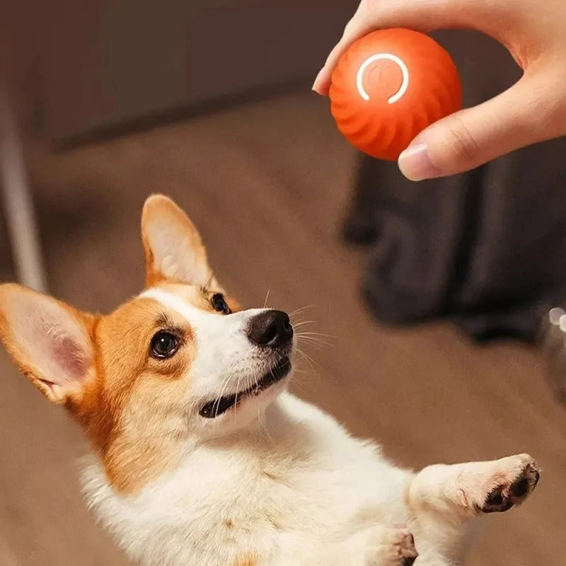 SmartPlay – Automatic Dog Play Ball