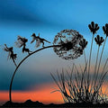 MagicGlow – Fairy-tale Outdoor Garden Decoration