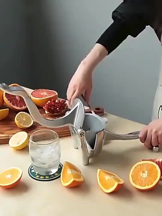 Sumba Juicer - Multifunctional Home Juicer