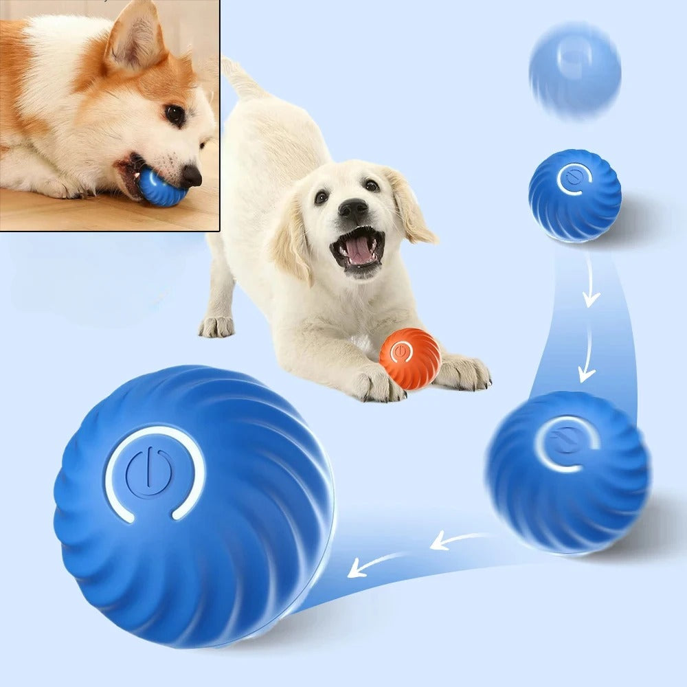 SmartPlay – Automatic Dog Play Ball