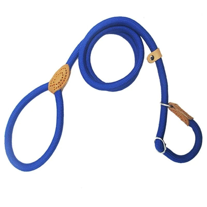 Guillaume Laisse – Sturdy Dog Leash for Walking