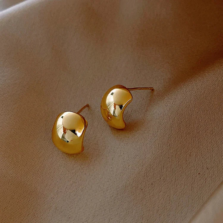 Refined and Sleek Clara Earrings