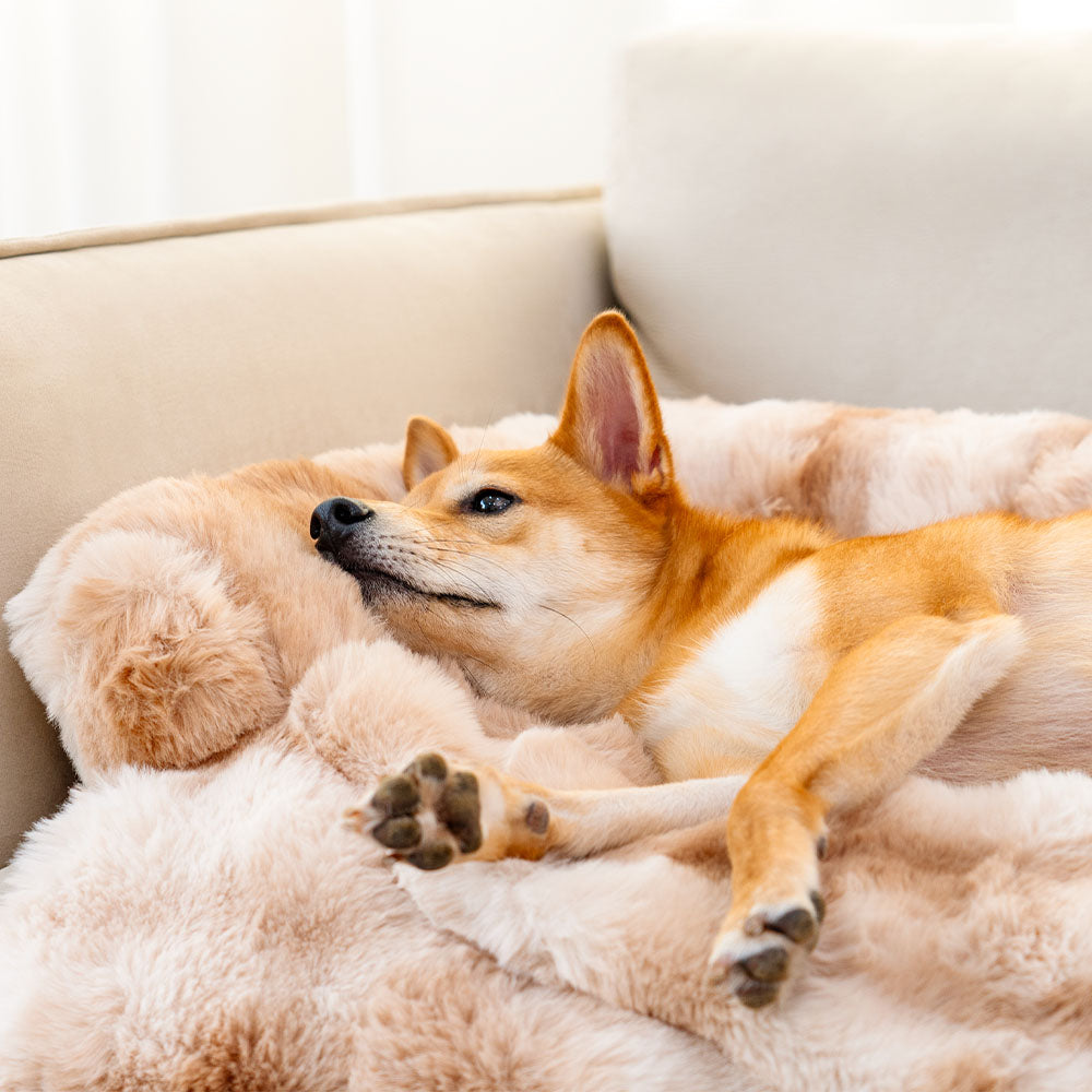 PlushNest - Luxury Dog Bed for Optimal Comfort