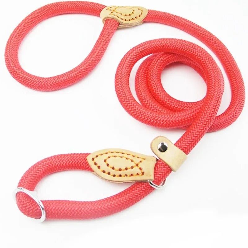 Guillaume Laisse – Sturdy Dog Leash for Walking