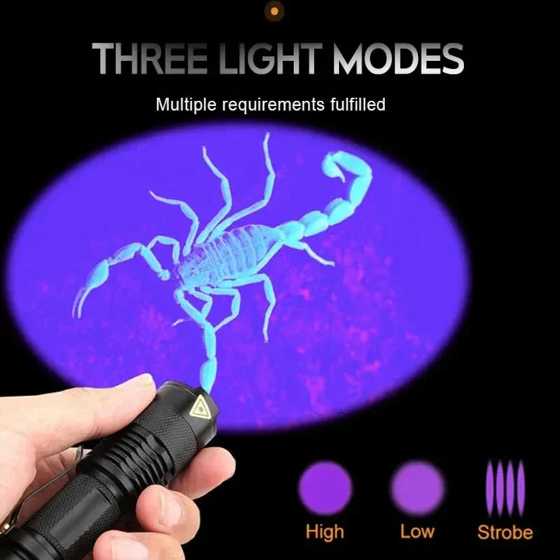 GlowInspect - UV Flashlight for Urine and Stains