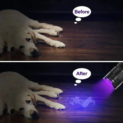 GlowInspect – UV Flashlight for Urine and Stain Detection