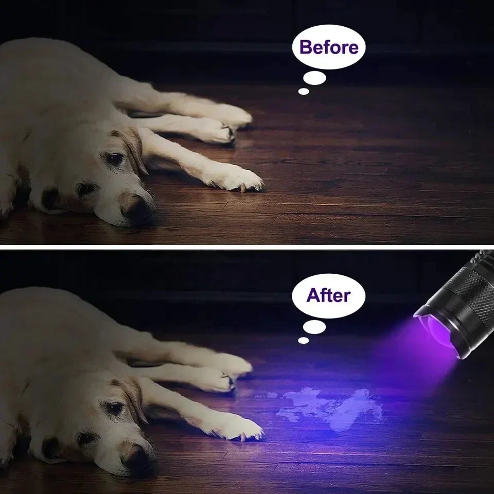 GlowInspect - UV Flashlight for Urine and Stains