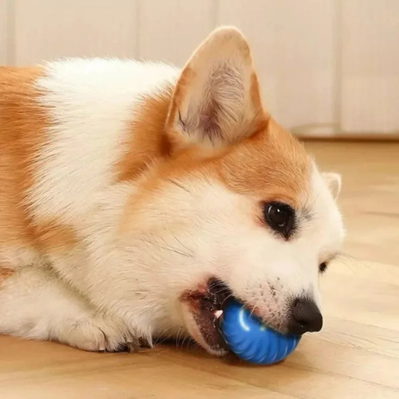 SmartPlay – Automatic Dog Play Ball