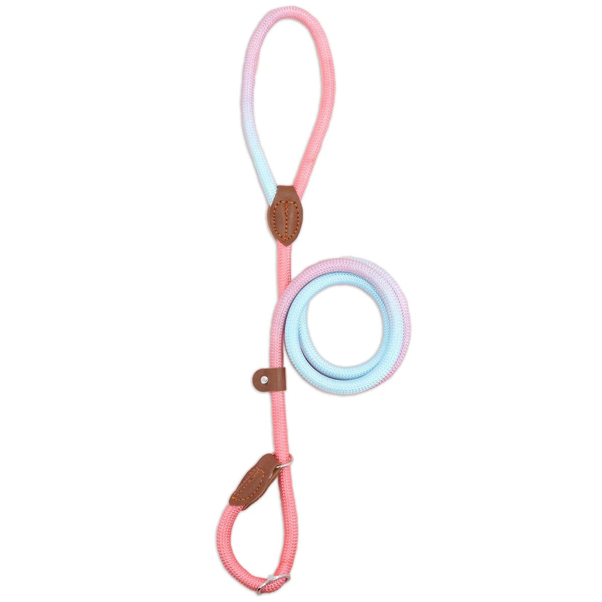 Clémentine Laisse – Colorful Dog Leash for Stylish Walks