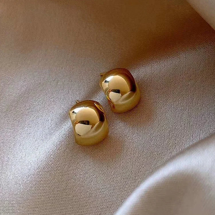 Refined and Sleek Clara Earrings