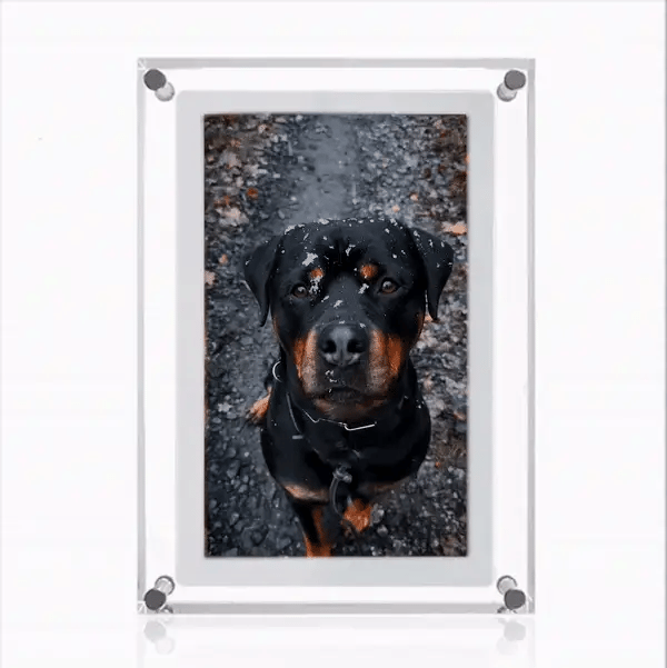 Digital Photo Frame - Immortalize your most beautiful memories
