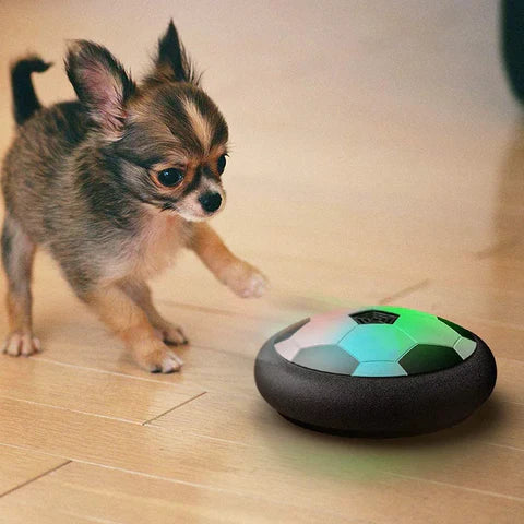 PlayBall Pro – Innovative Interactive Toy for Dogs
