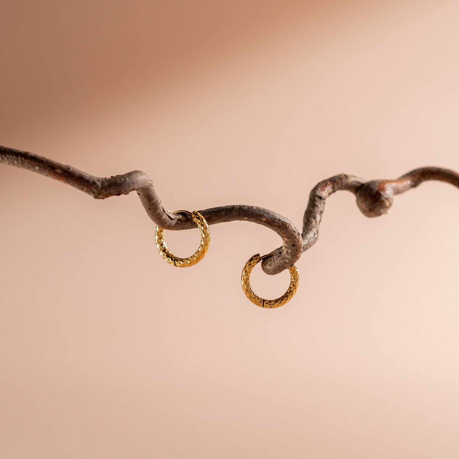 Glistening Hammered Earrings - Livia