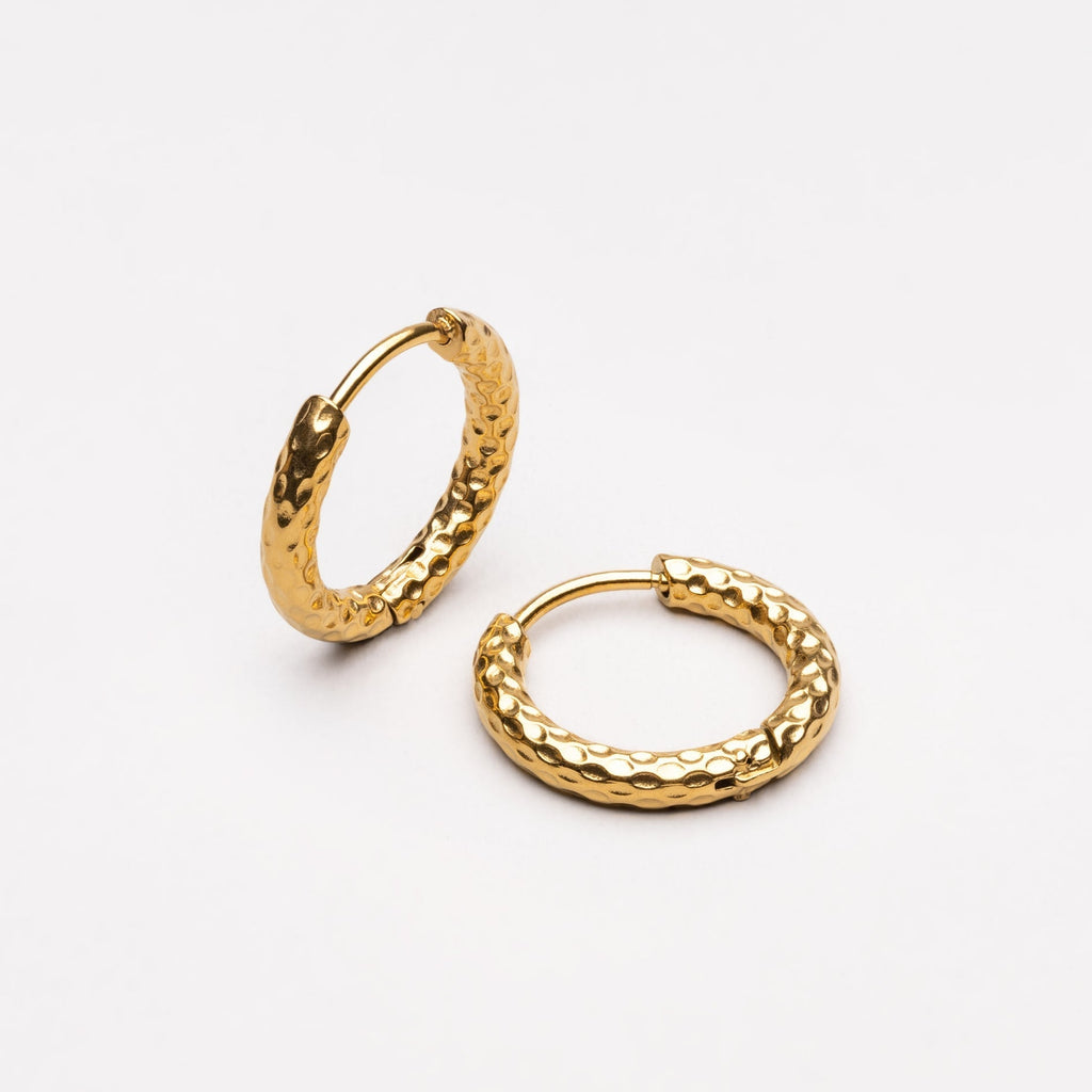 Glistening Hammered Earrings - Livia