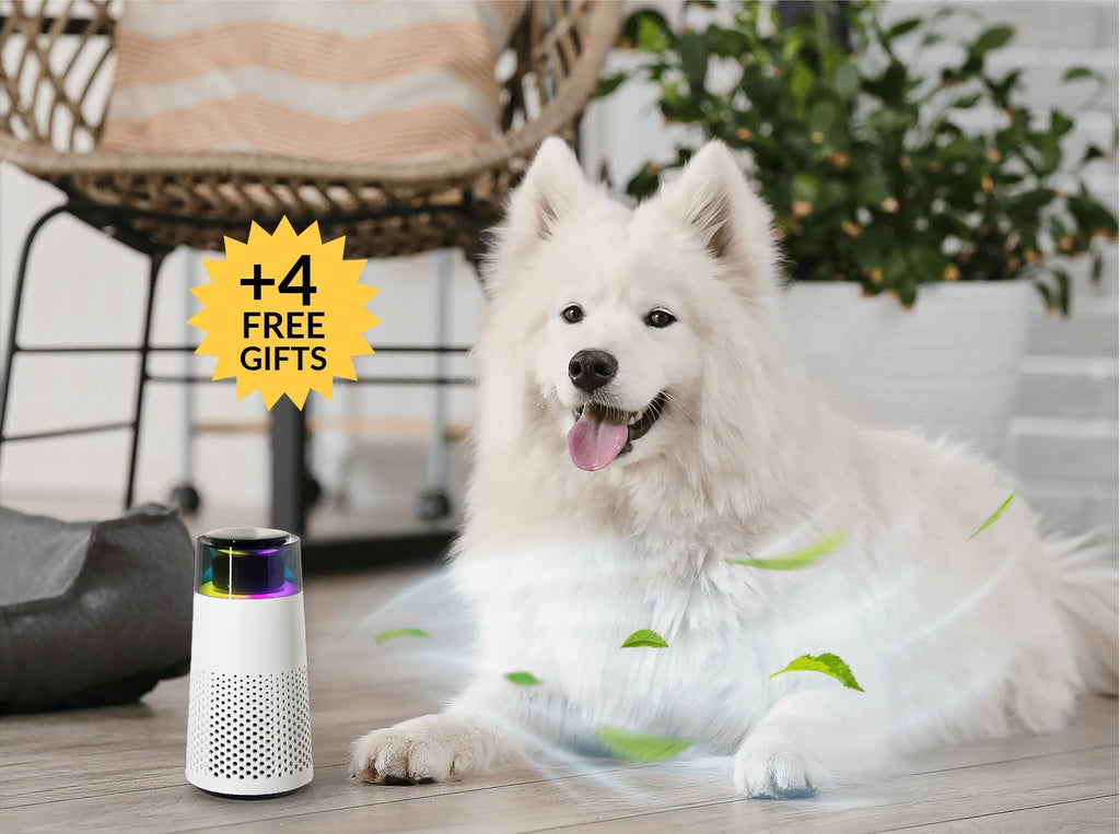 PetFresh - Aromatic Pet Odor Diffuser