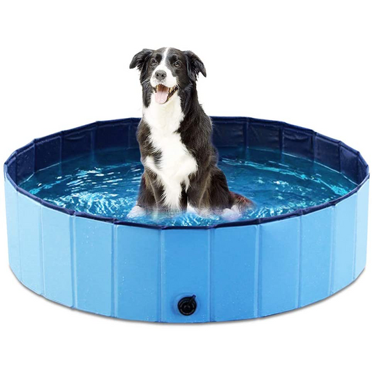 CoolPaws – Luxury Dog Pool for the Garden