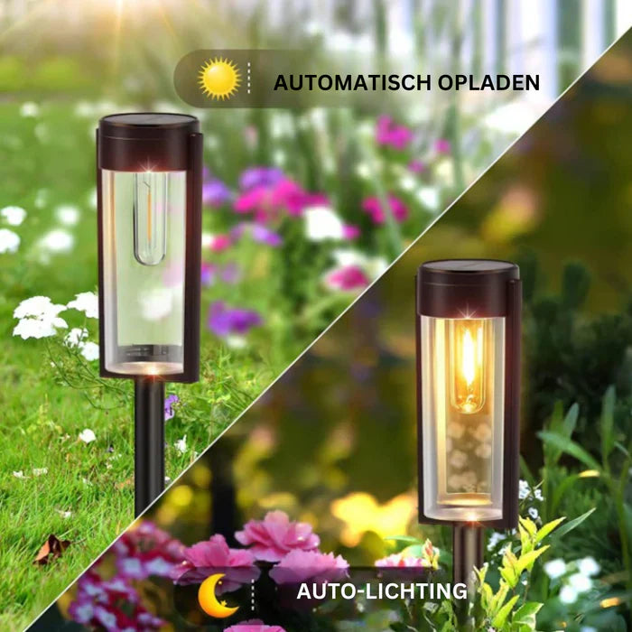 LumiPath – Luxury Solar Pathway Lighting for Garden