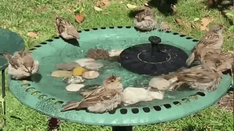 TranquilFlow – Soothing Garden Fountain with Sunlight