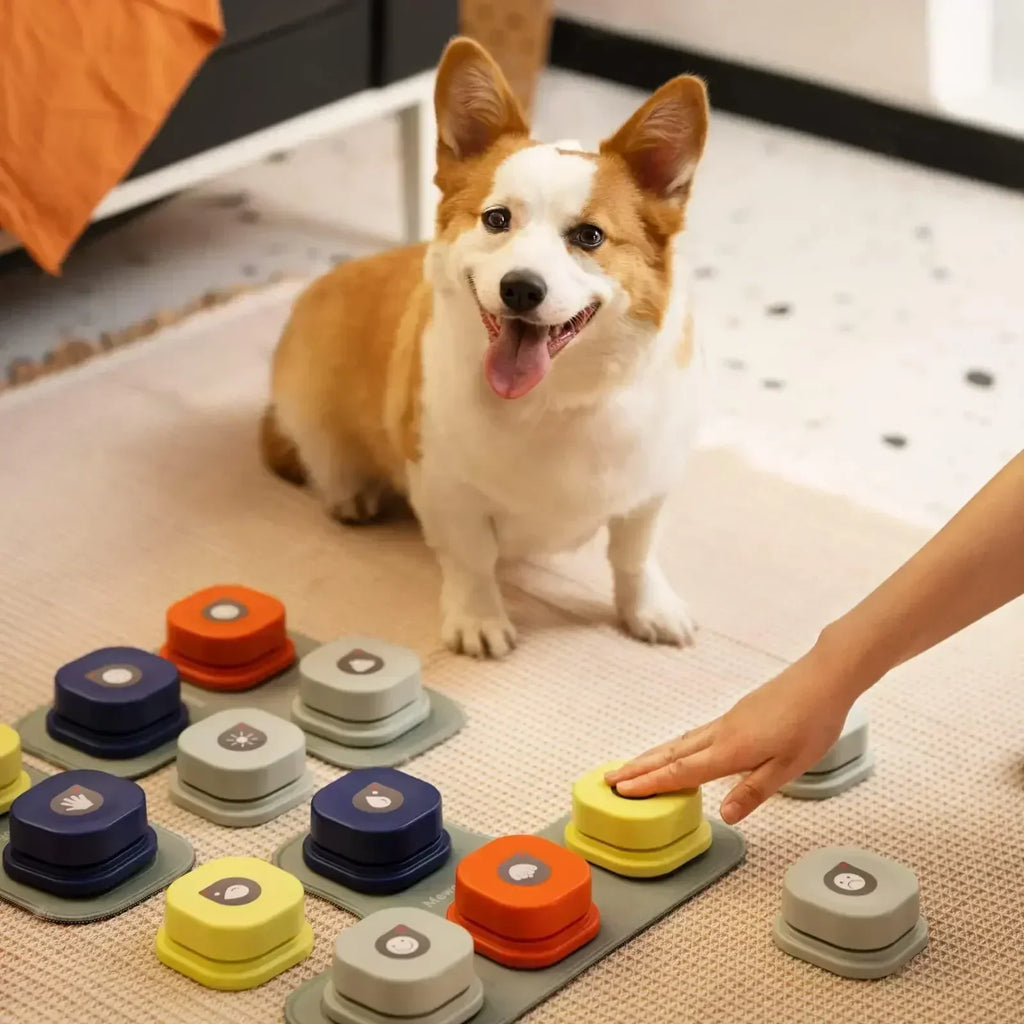 BarkTalk – Interactive Buttons for Dog Training