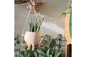 GreenOasis - Elegant Hanging Planter for a Serene Atmosphere