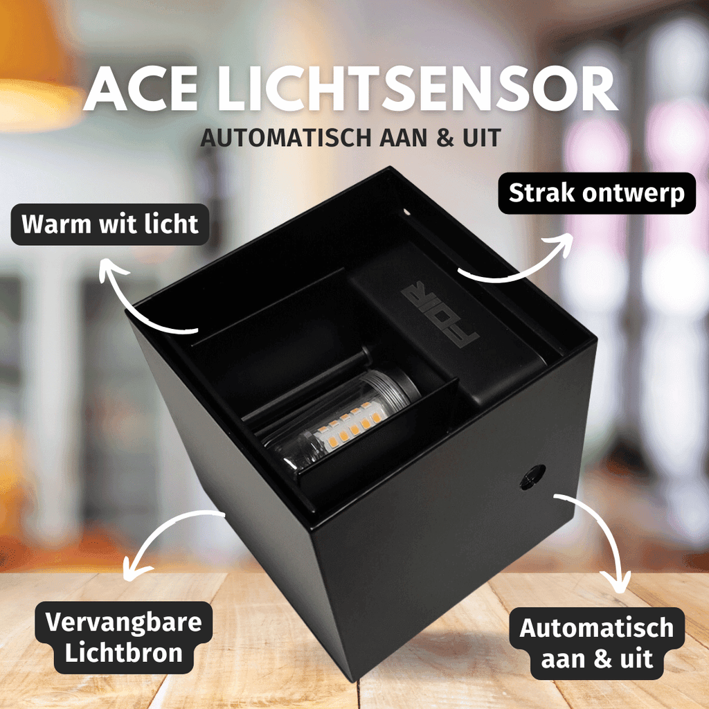 AceGlow Outdoor Lamp - Dusk-to-Dawn Sensor G9 IP65 Warm White