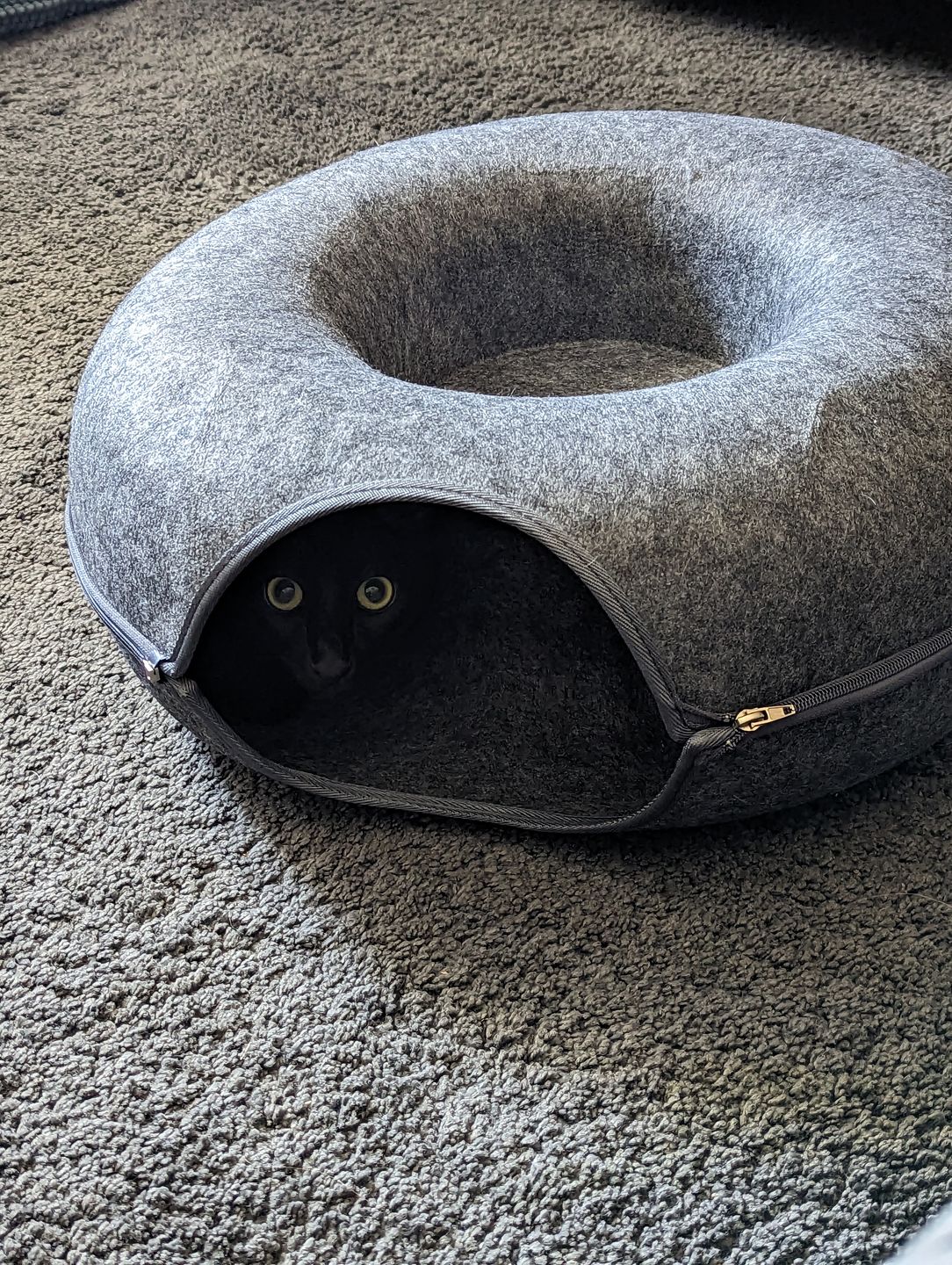 Purrfect Den - Luxury Cat Tunnel with Sleeping Area