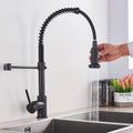 Zoovy Faucet - Stylish Black Kitchen Faucet with Features