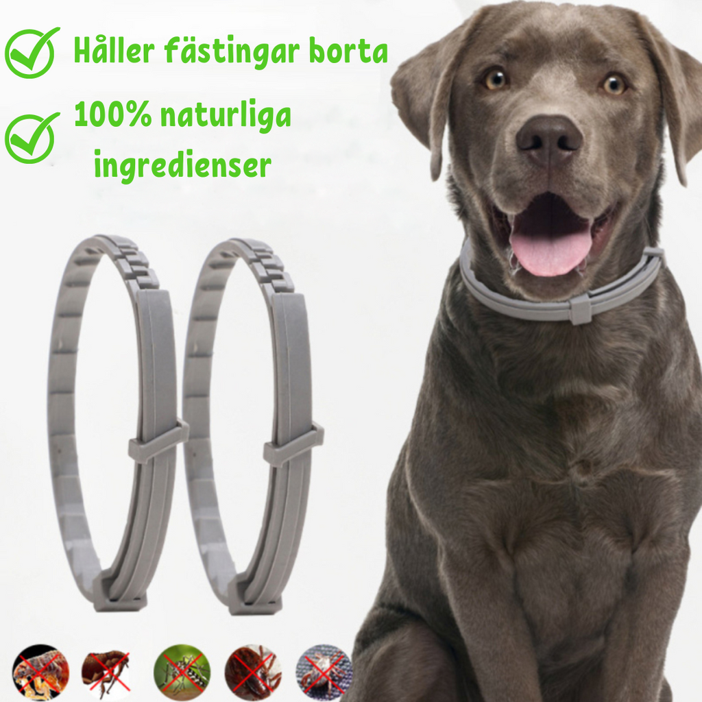 FleaShield Collar – Flea and Tick Protection