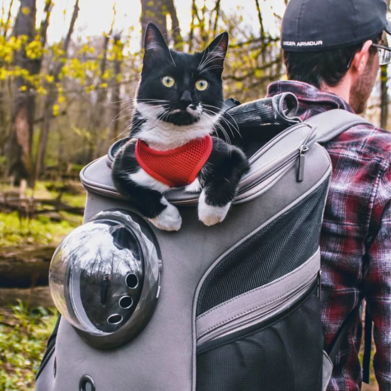 CatTrekker - Luxury Cat Travel Carrier with Panoramic View