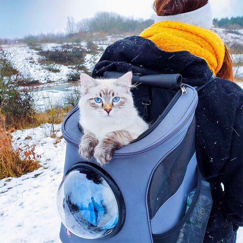 CatTrekker - Luxury Cat Travel Carrier with Panoramic View
