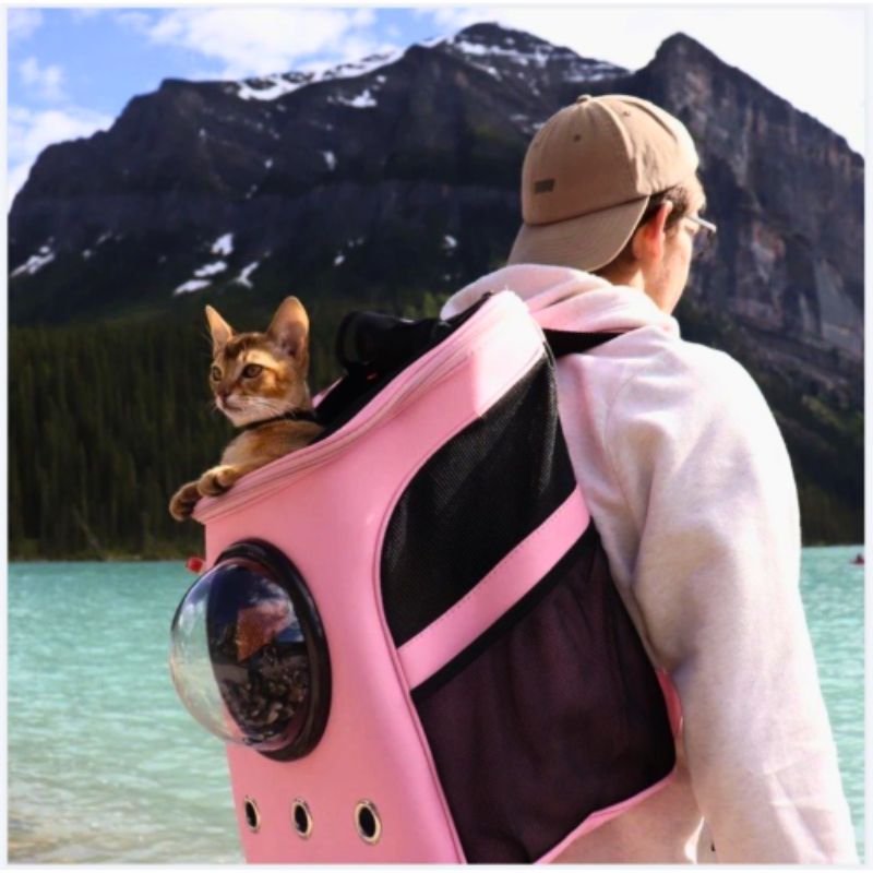 CatTrekker - Luxury Cat Travel Carrier with Panoramic View