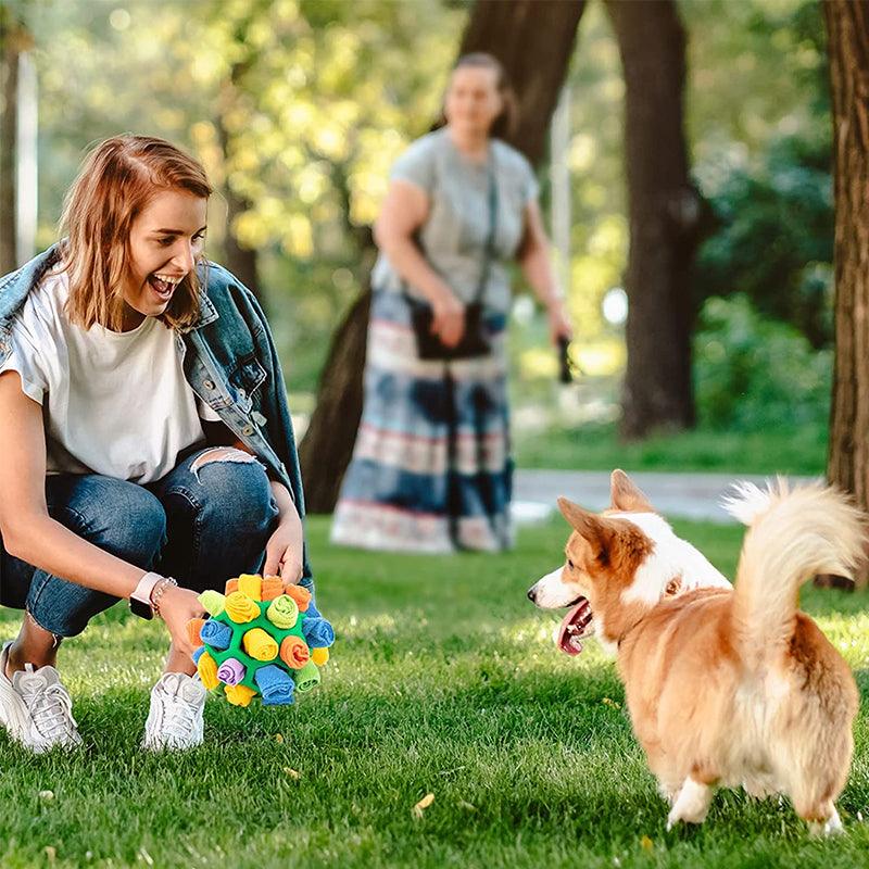 SnuffleFun – Playful and Educational Snuffle Game for Pets