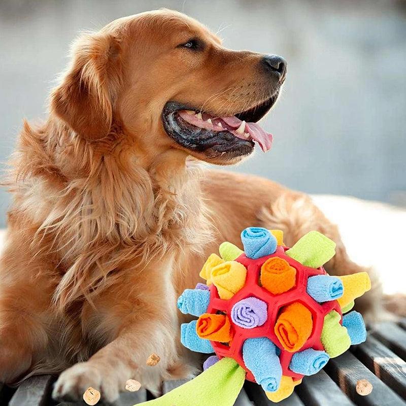 SnuffleFun – Playful and Educational Snuffle Game for Pets
