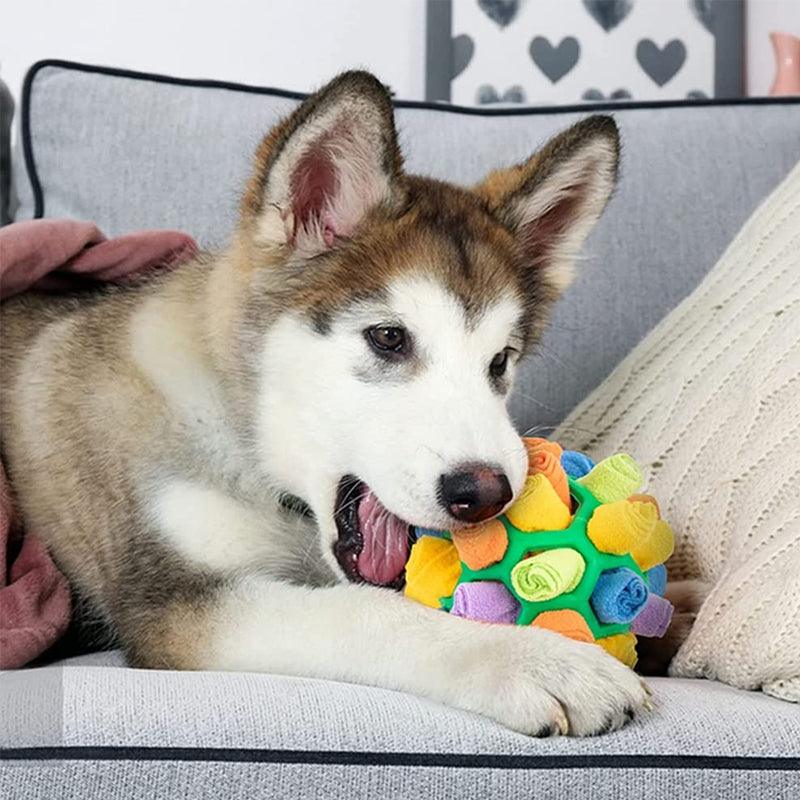 SnuffleFun – Playful and Educational Snuffle Game for Pets